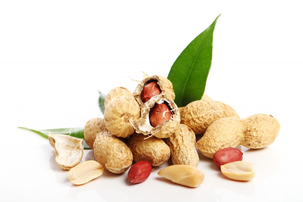 Are peanut shells edible